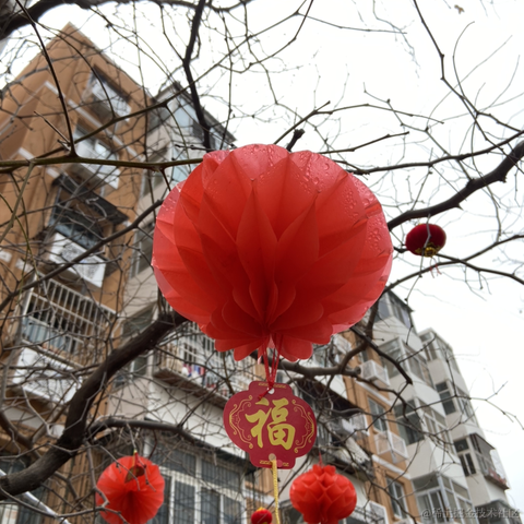 爱掘金的祢豆子于2021-02-14 17:11发布的图片