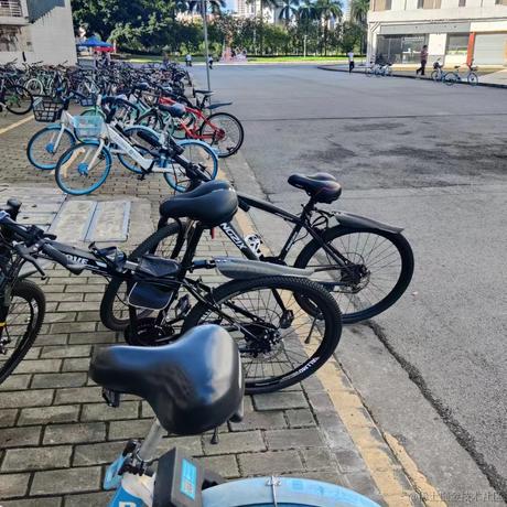 向晚大猪猪于2023-07-05 19:45发布的图片