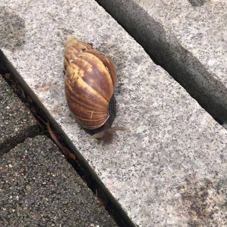 小小de海绵于2021-11-22 14:06发布的图片