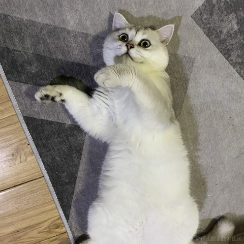 宇宙的尽头是什么于2021-10-29 14:55发布的图片