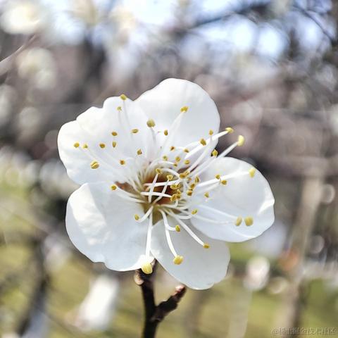 其实是白羊于2022-02-26 18:23发布的图片