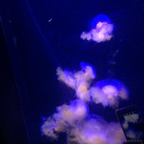 魔怔时代于2022-11-15 19:02发布的图片