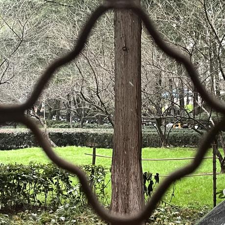 嘉然于2022-11-30 08:23发布的图片