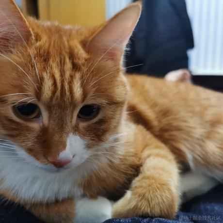 柒弎于2022-12-04 21:58发布的图片