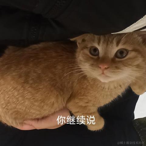 _鱼_于2023-01-29 13:45发布的图片
