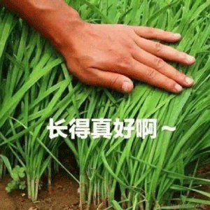 YePingL于2022-03-22 10:44发布的图片