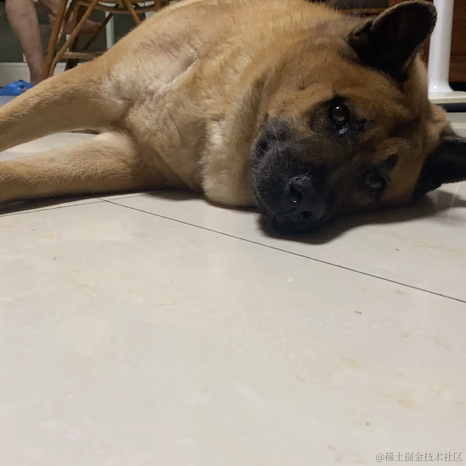 紫色的猪于2022-12-06 23:41发布的图片