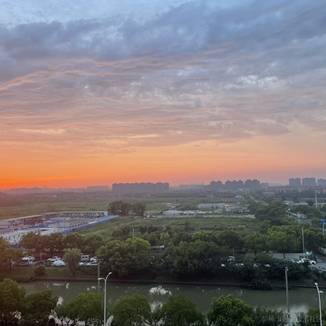 粉色矮水母于2023-07-09 22:02发布的图片