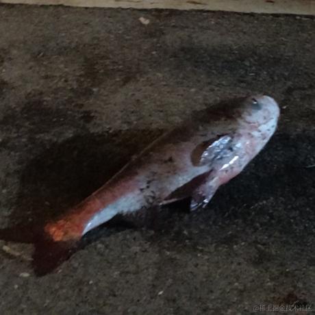 晚晚第一于2022-11-16 13:01发布的图片