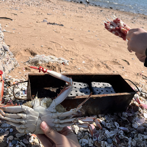 yioo于2023-04-29 21:03发布的图片