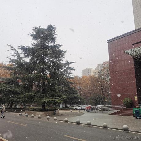 蓝冠青鸟于2022-11-30 15:04发布的图片