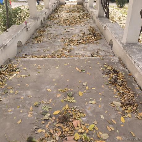 嘉然今天吃乃琳于2022-12-01 08:51发布的图片