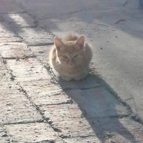 邂逅耶于2020-10-10 14:27发布的图片