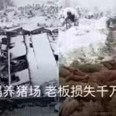 w花开富贵于2022-11-19 22:39发布的图片