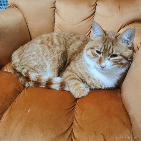 鲨脆脆脆于2023-05-28 15:22发布的图片