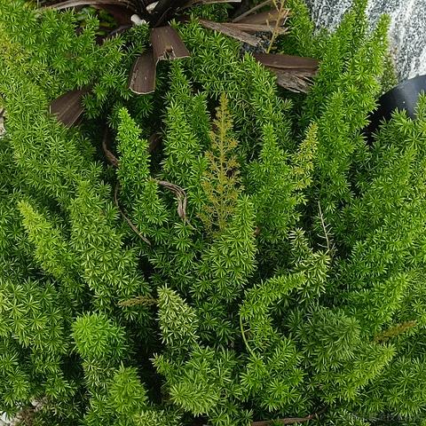 onetwo于2022-11-21 14:02发布的图片