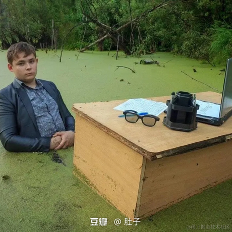 红毛丹于2022-05-23 18:40发布的图片