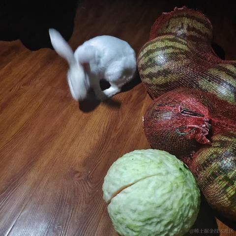 d小王子b于2023-04-14 14:22发布的图片