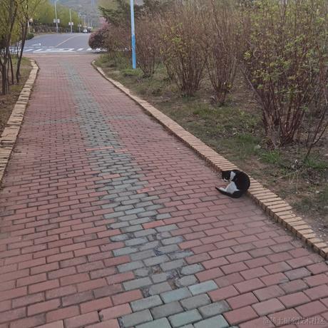 蒸虾头于2023-06-29 11:31发布的图片