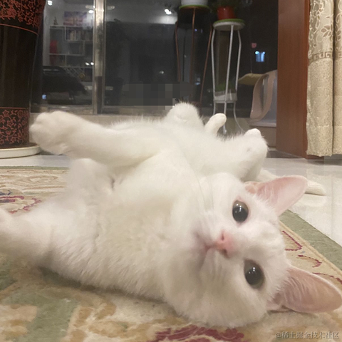 港岛阿妹于2021-11-25 13:39发布的图片