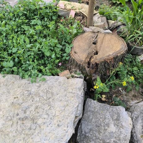 Ava魔方于2022-12-13 22:22发布的图片