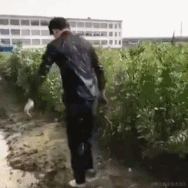 不会秃头的程序员于2022-06-13 17:37发布的图片