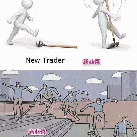 迷途橙子于2022-01-04 17:18发布的图片