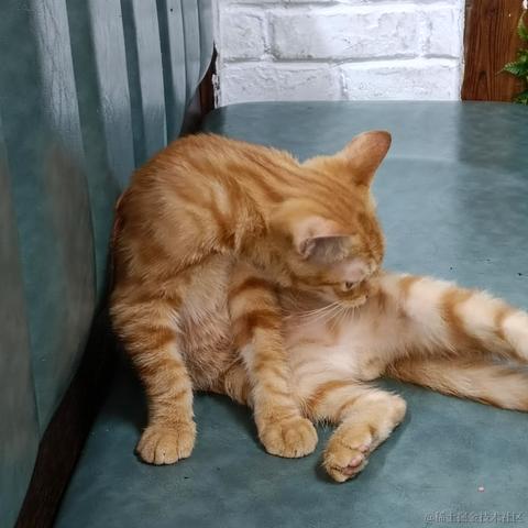 囧史密斯于2022-11-27 18:57发布的图片