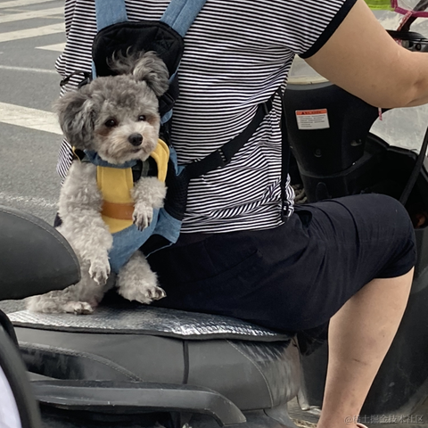 Cindy于2021-07-22 11:05发布的图片