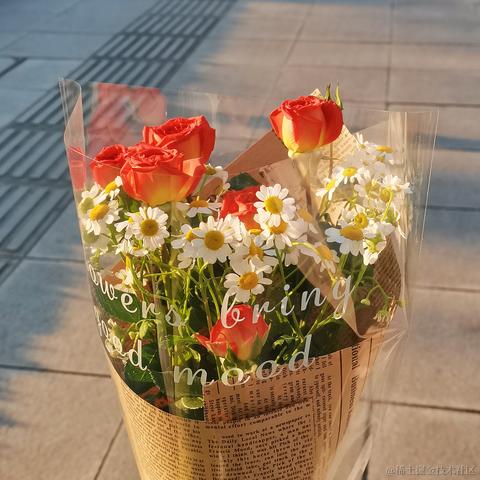 安可可可可于2023-05-16 21:48发布的图片