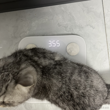进阶的小叮当于2023-06-03 22:48发布的图片