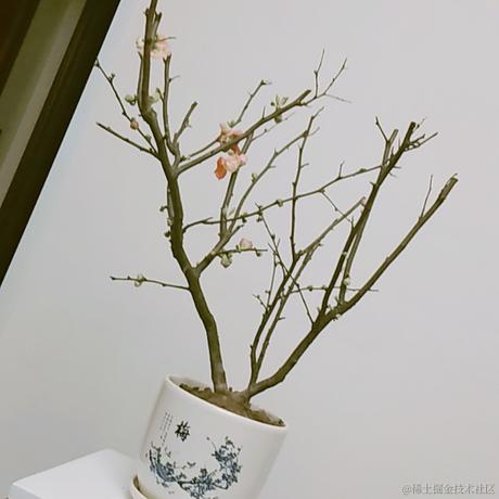 CBBB于2022-12-30 00:34发布的图片