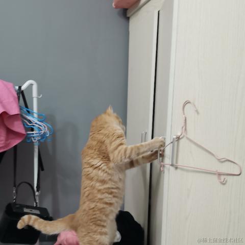 晓星尘jw于2023-03-19 17:45发布的图片