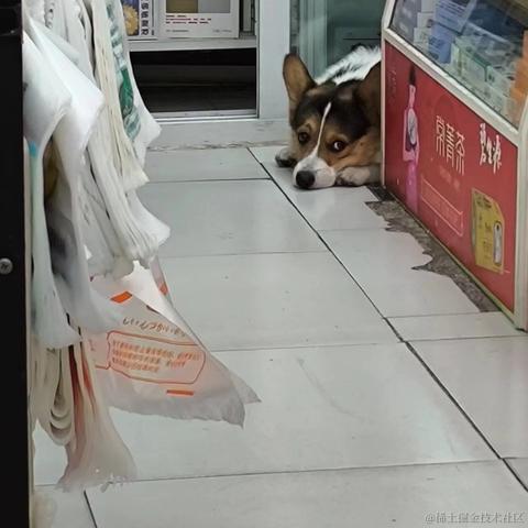 知_足于2024-06-18 10:22发布的图片