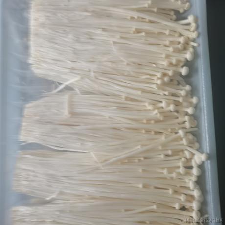 吾结于2022-11-26 11:03发布的图片