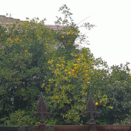 筱舟大摸王于2022-11-12 15:16发布的图片