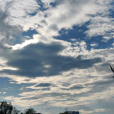 __Petrichor于2024-07-03 17:37发布的图片
