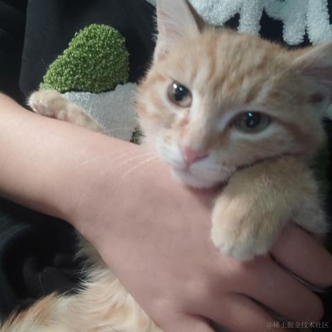 余老彪于2022-12-20 23:34发布的图片