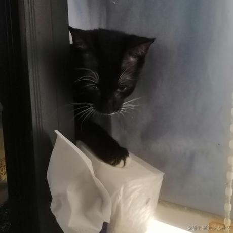 everJust于2021-10-30 19:16发布的图片