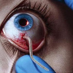 锦鲤本李于2021-02-26 09:40发布的图片