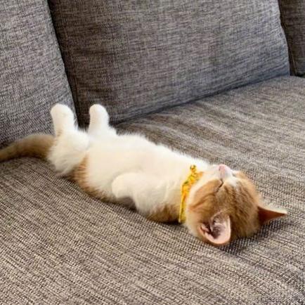 OriginYu于2023-08-14 23:50发布的图片