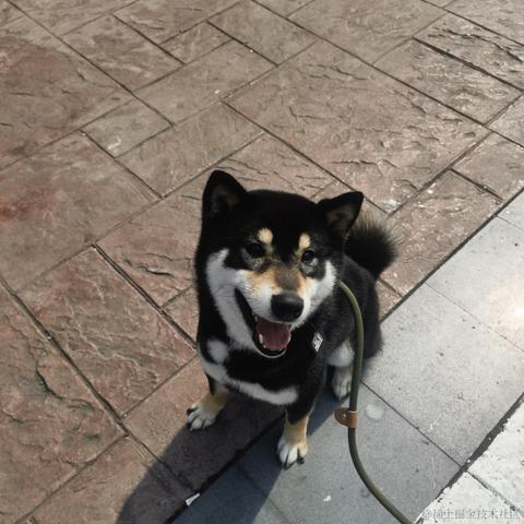 青春饭于2023-03-14 09:14发布的图片