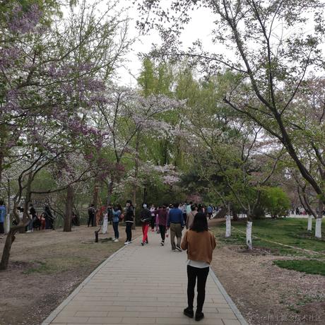 iwhao于2022-04-19 01:19发布的图片