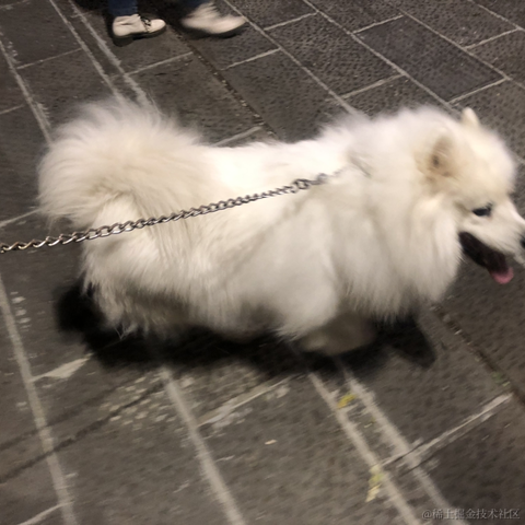 LeeFranz于2021-02-19 19:27发布的图片