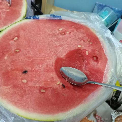 梓堃俊霞于2023-06-23 14:38发布的图片