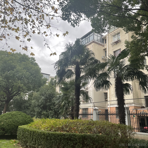 阿殷于2022-12-20 11:32发布的图片