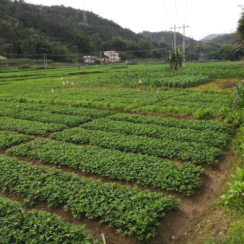卢安娜的飓风于2023-05-04 09:03发布的图片
