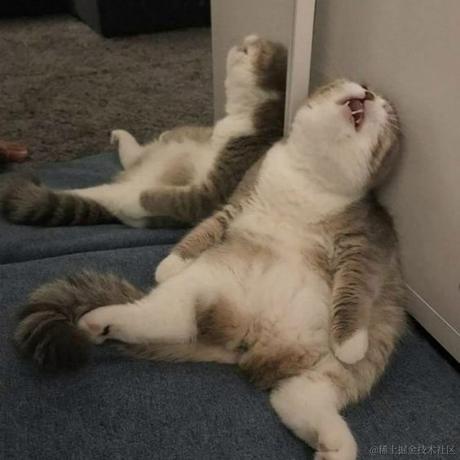 Daniel_01于2022-07-29 09:41发布的图片