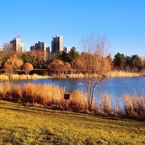 AHASXH于2022-11-21 10:37发布的图片