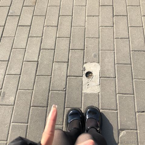 面包泡牛奶于2023-03-28 08:37发布的图片